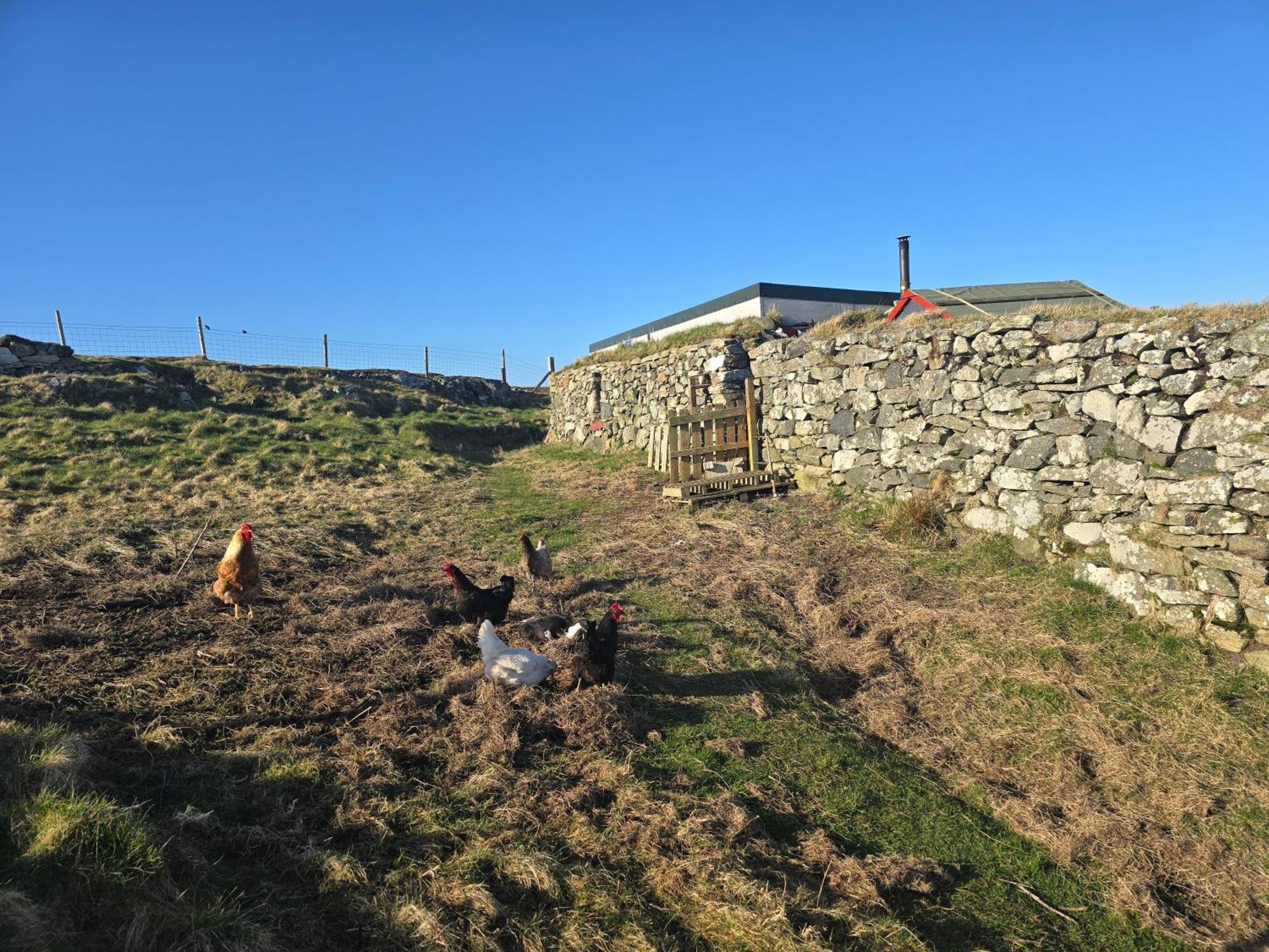 Squealing Pig Bothy Villa Barvas Luaran gambar